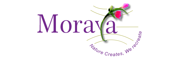 Moraya Global